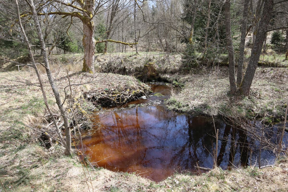 Giselin a Rudolfův pramen
